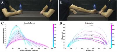 Differences in Action Style Recognition in Children with Autism Spectrum Disorders